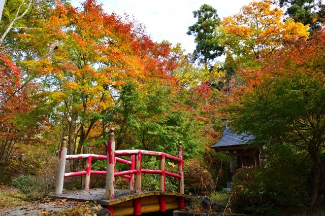 奥の院：秋には境内の木々が真っ赤に染まります【pixta】