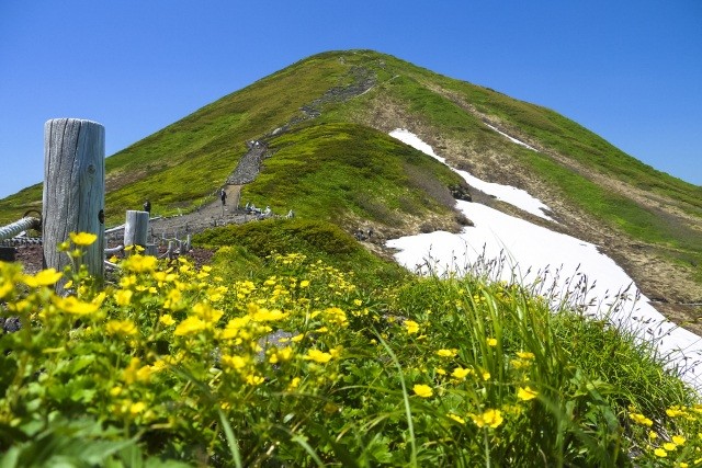 秋田駒ヶ岳