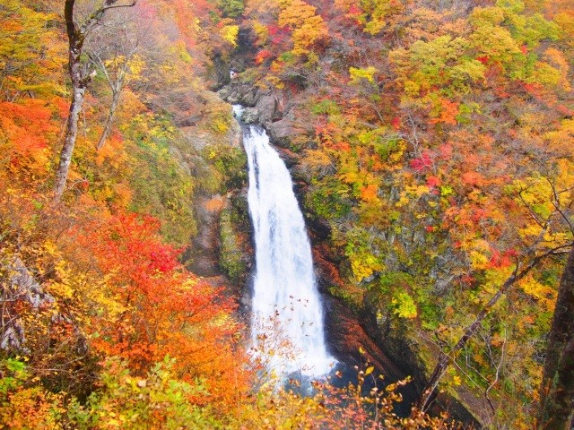 宿周辺の散策：秋保大滝など
