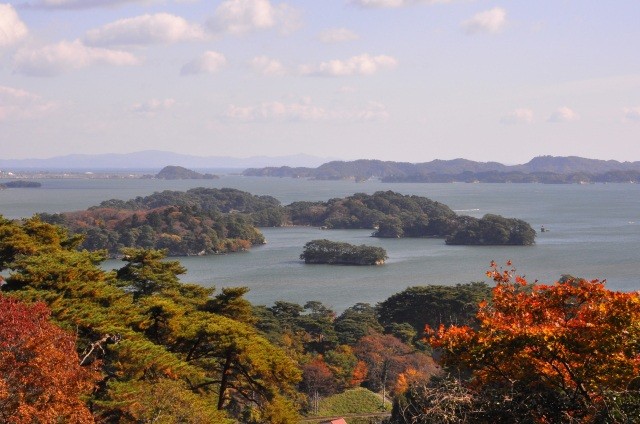 紅葉の時期の松島も綺麗です。【pixta】