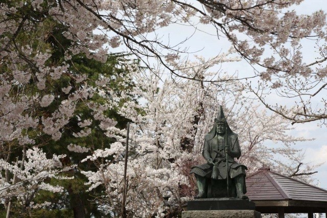 桜を背景に堂々たる佇まい、上杉謙信の像