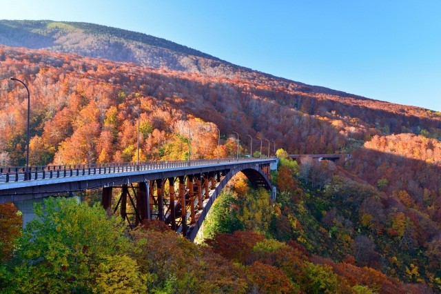 城ケ倉大橋