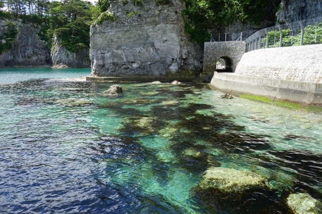 遊歩道の散策もおすすめ【pixta】
