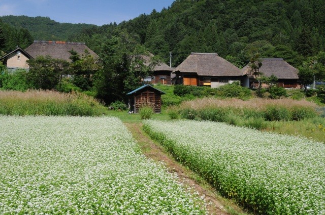 Mizuhiki Magariya Shuraku