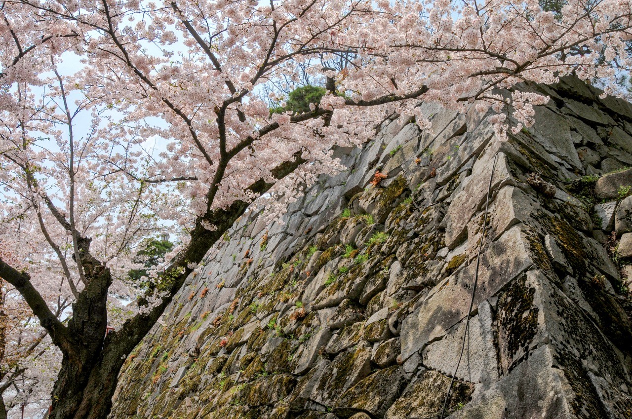 盛岡城遺址公園（岩手公園）