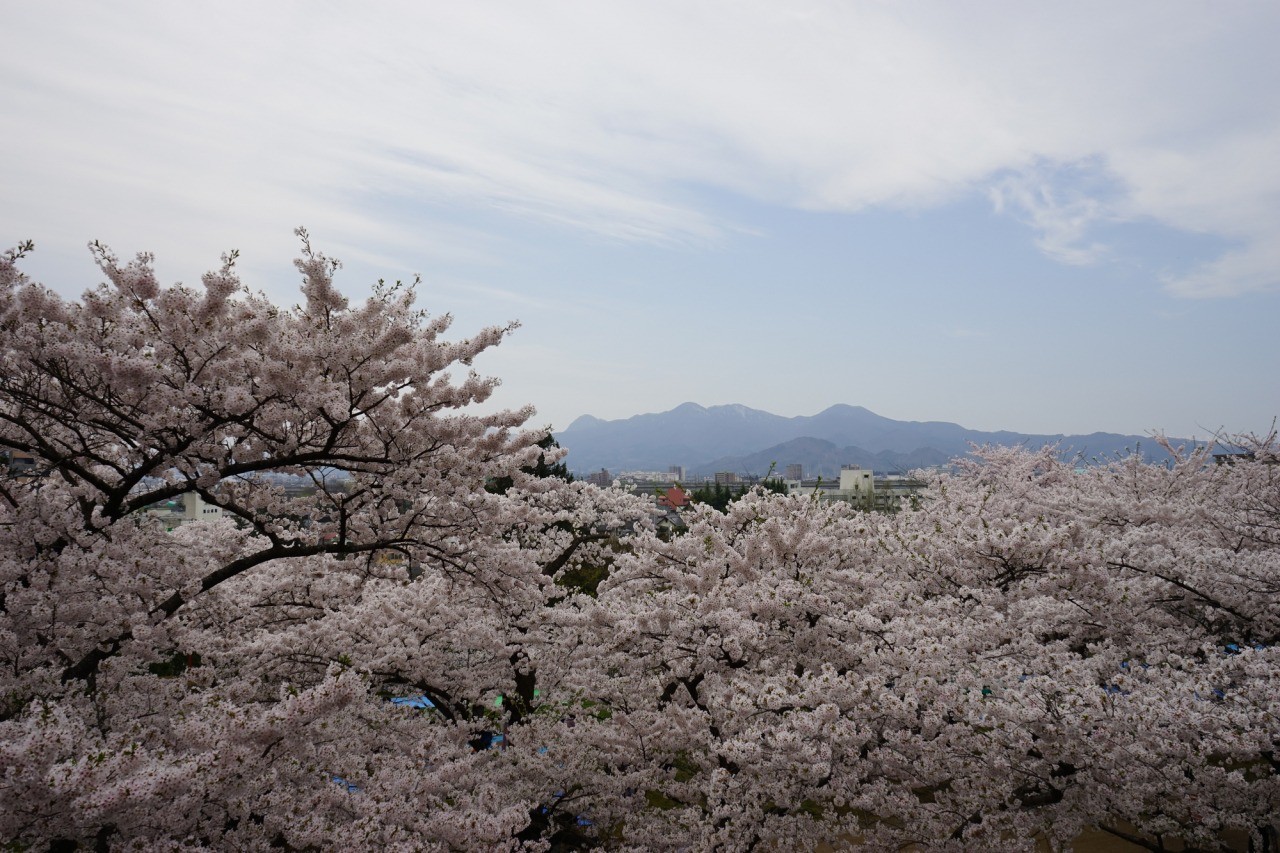 桜の季節もおすすめ【pixta】
