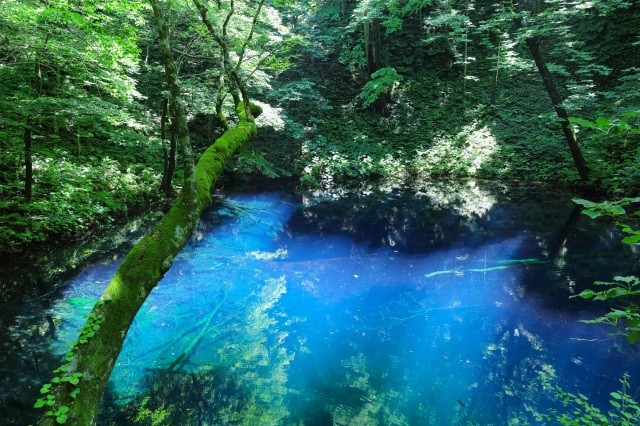 鮮やかなコバルトブルーに輝く池