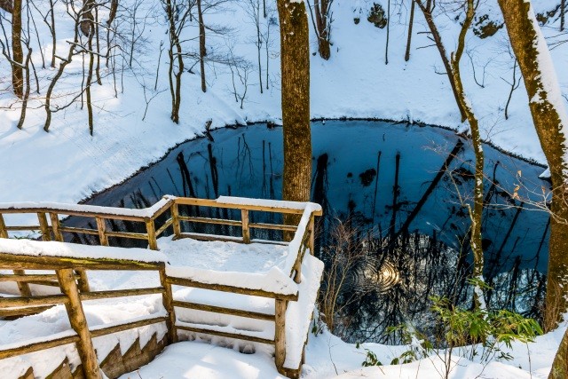 冬の青池