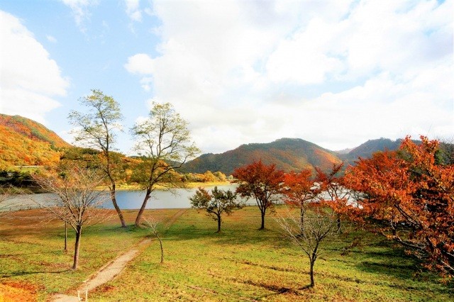 秋の川尻湖畔公園