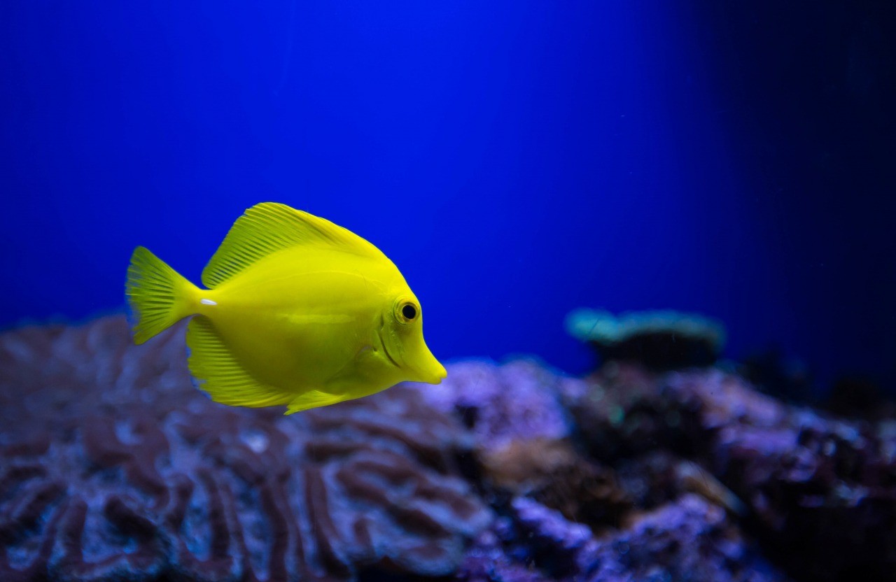 浅虫水族館