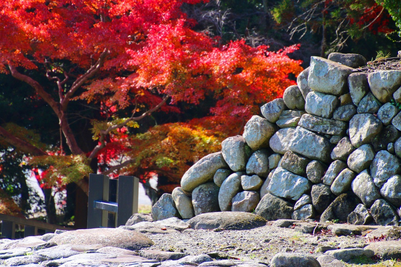 相馬中村神社 中村城跡 東北の観光スポットを探す 旅東北 東北の観光 旅行情報サイト
