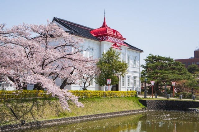 大宝館が位置する鶴岡公園は桜の名所【pixta】