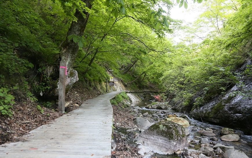 地獄谷遊歩道 東北の観光スポットを探す 旅東北 東北の観光 旅行情報サイト