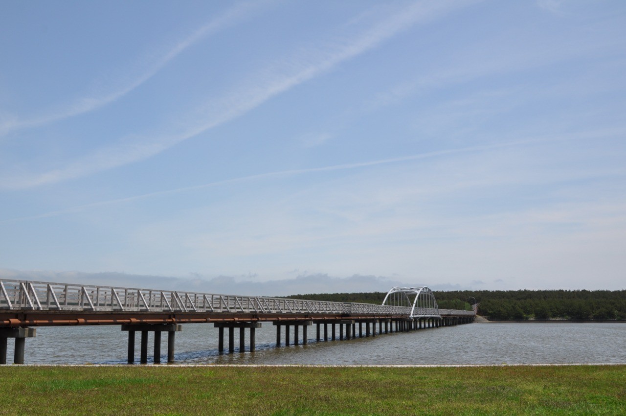 中の島ブリッジパーク 東北の観光スポットを探す 旅東北 東北の観光 旅行情報サイト