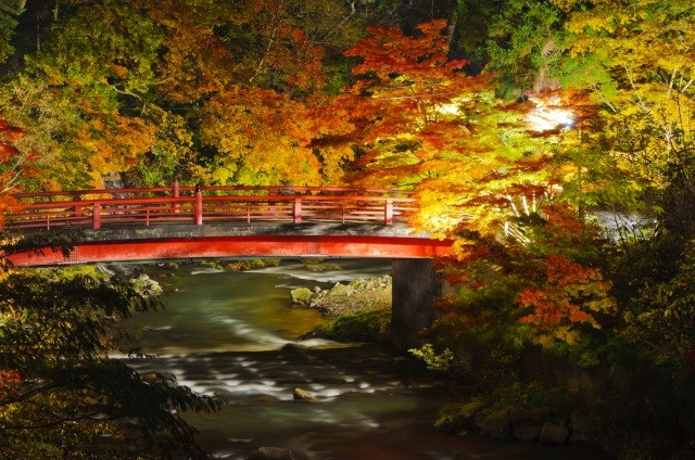 Nakano Momiji-yama (Nakano Maple Mountain)