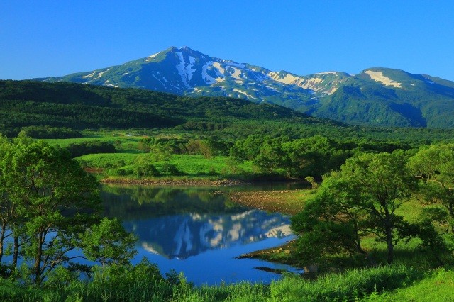 夏の鳥海山を望む「冬師湿原」