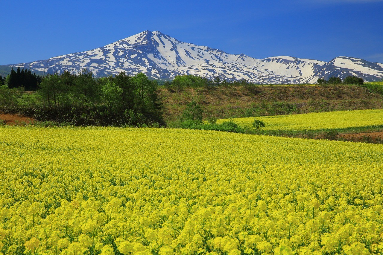 Mt. Chokai