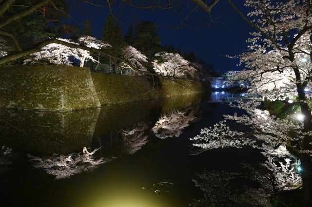 水面に映る夜桜はライトアップならでは【pixta】