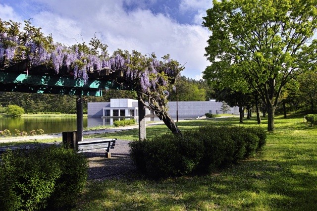 あじさいの他にも藤や桜の木も【pixta】