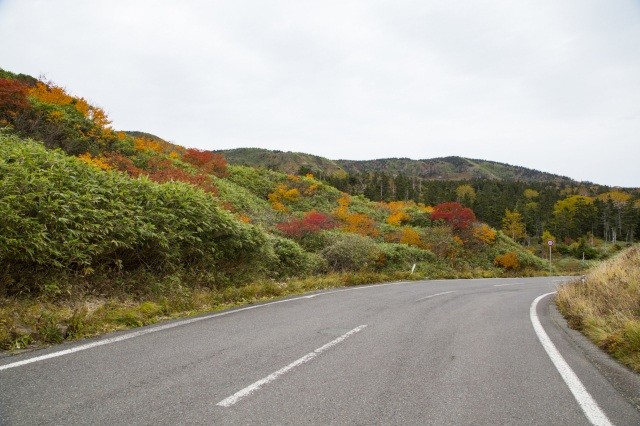 紅葉を見ながら八幡平樹海ラインをドライブ