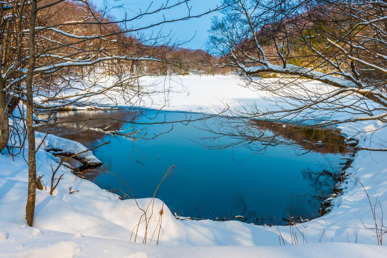 雪に囲まれた「十二湖」【AdobeStock】