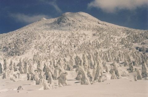 八甲田山の樹氷