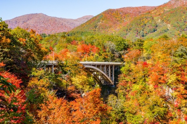 紅葉と大峡谷が作り出す絶景【pixta】