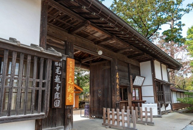 【四寺廻廊①】毛越寺（世界遺産）