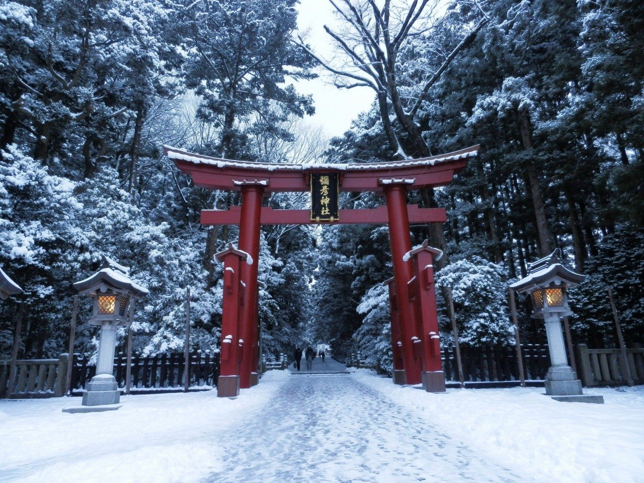 弥彦神社 彌彦神社 東北の観光スポットを探す 旅東北 東北の観光 旅行情報サイト