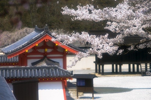 Esashi-Fujiwara Heritage Park