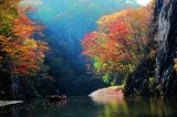 水面に落ちる紅葉までも絵になる景色
