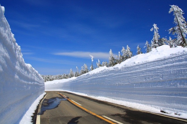 「アスピーテライン雪の回廊」をドライブ【pixta】