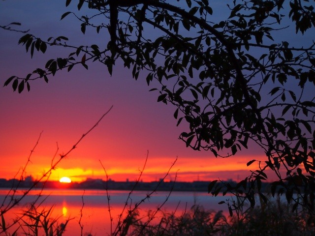 湖に沈みゆく夕日は幻想的な景色【pixta】