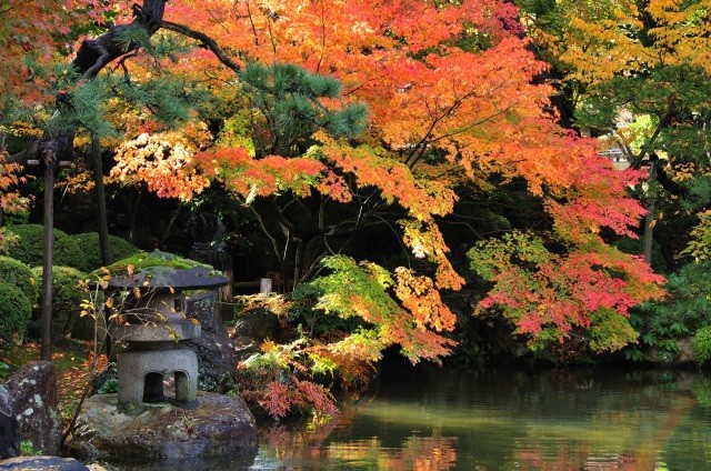 紅葉の季節、趣ある風景が心を落ち着かせる【pixta】