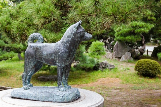 忠犬タマ公の像【pixta】