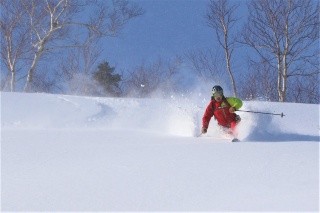 Hachimantai Powder Snow Cat Skiing Tour
