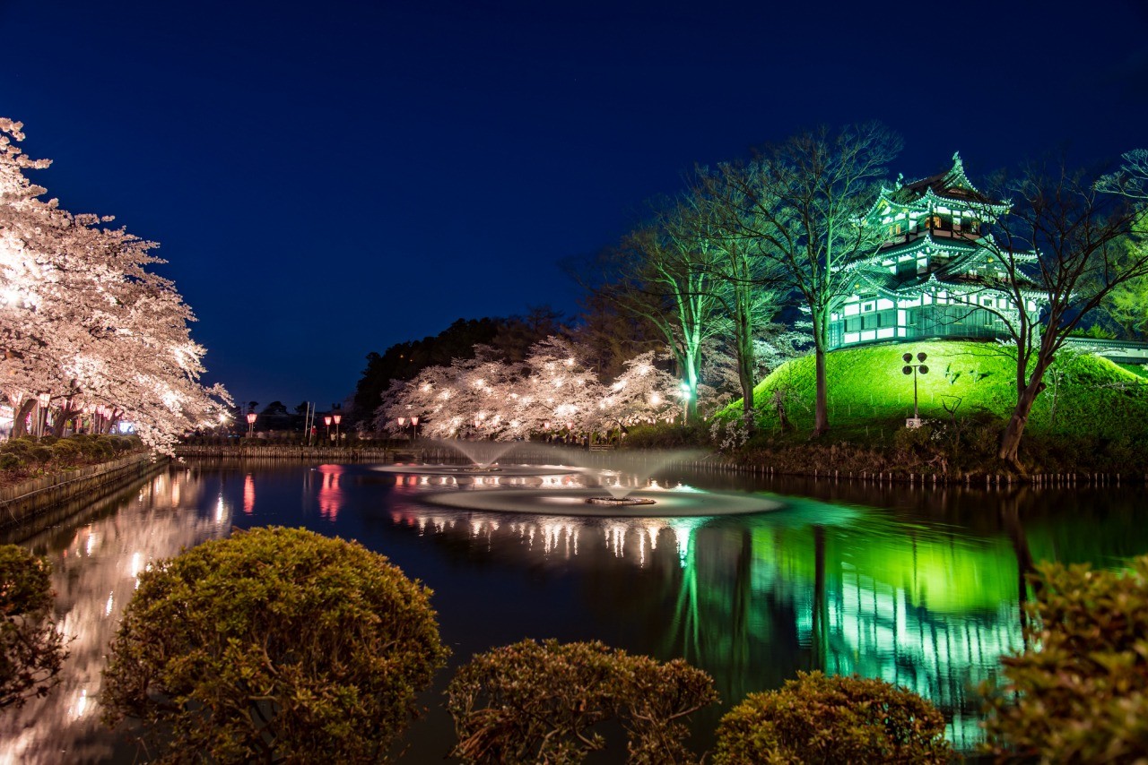 Takada Castle Site Park Cherry Blossom Festival