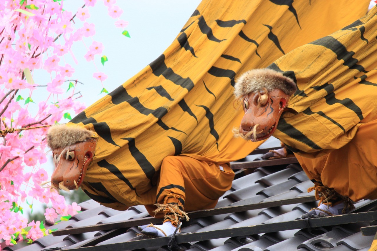 Hatsu-uma Festival (tiger dance for fire prevention)