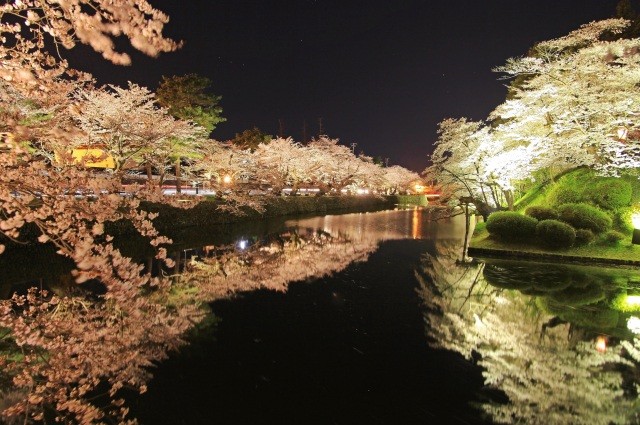 桜のライトアップ【pixta】