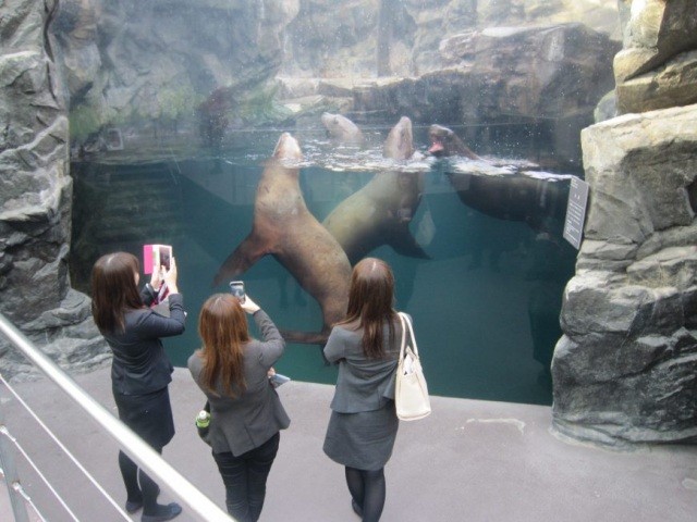 環境水族館アクアマリン福島（見学）