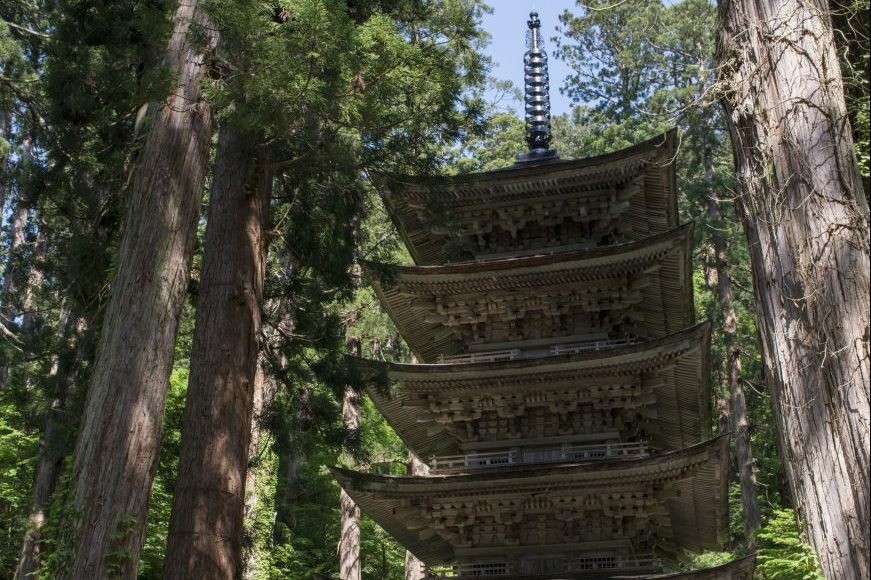 日本遺産「自然と信仰が息づく『生まれかわりの旅』～樹齢300年を超える杉並木につつまれた2,446段の石段から始まる出羽三山～」を体験する