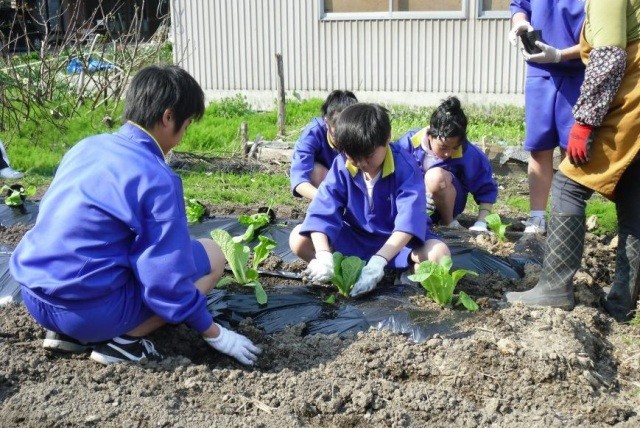 仙北市　農村生活体験　1泊