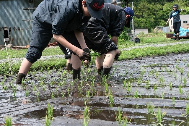 大館市にて農村生活体験