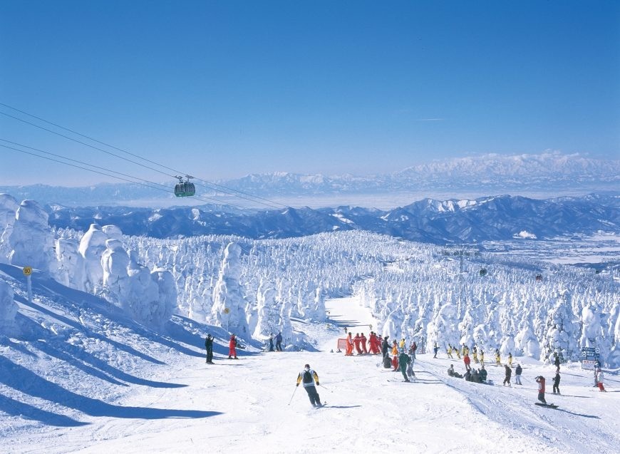 蔵王でのスキーを通じ環境問題を考える（山形県）