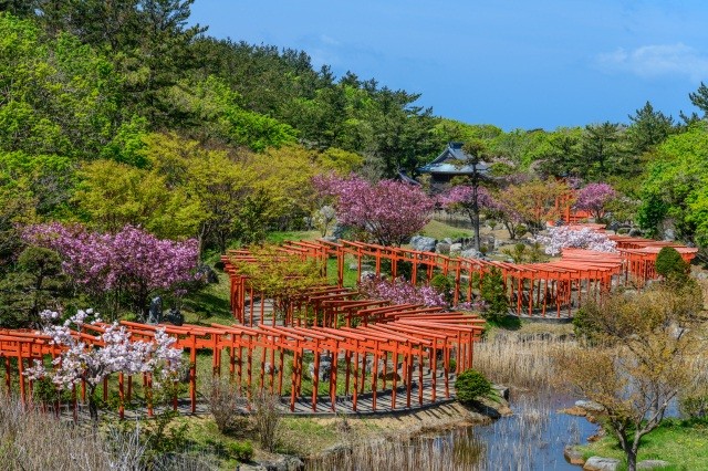 春の高山稲荷神社