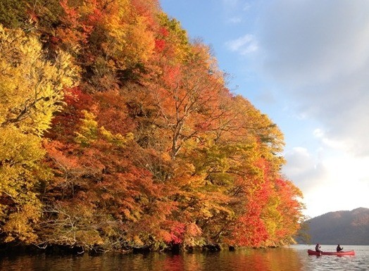 Lake Towada Canoe Tour: Experience the Mystical Lake with Your Five Senses