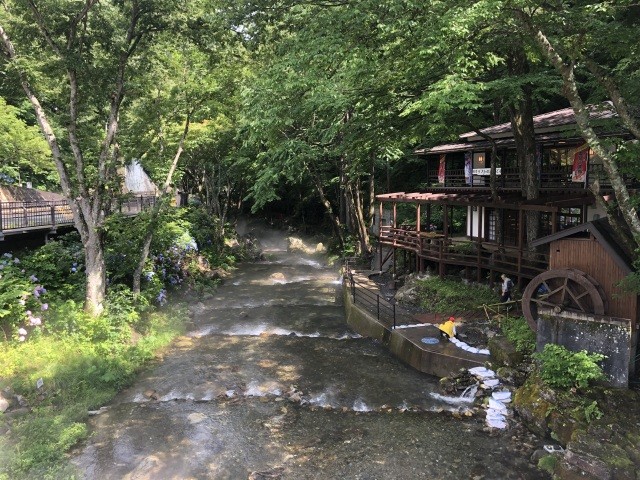 龍泉洞清水川渓流釣り体験