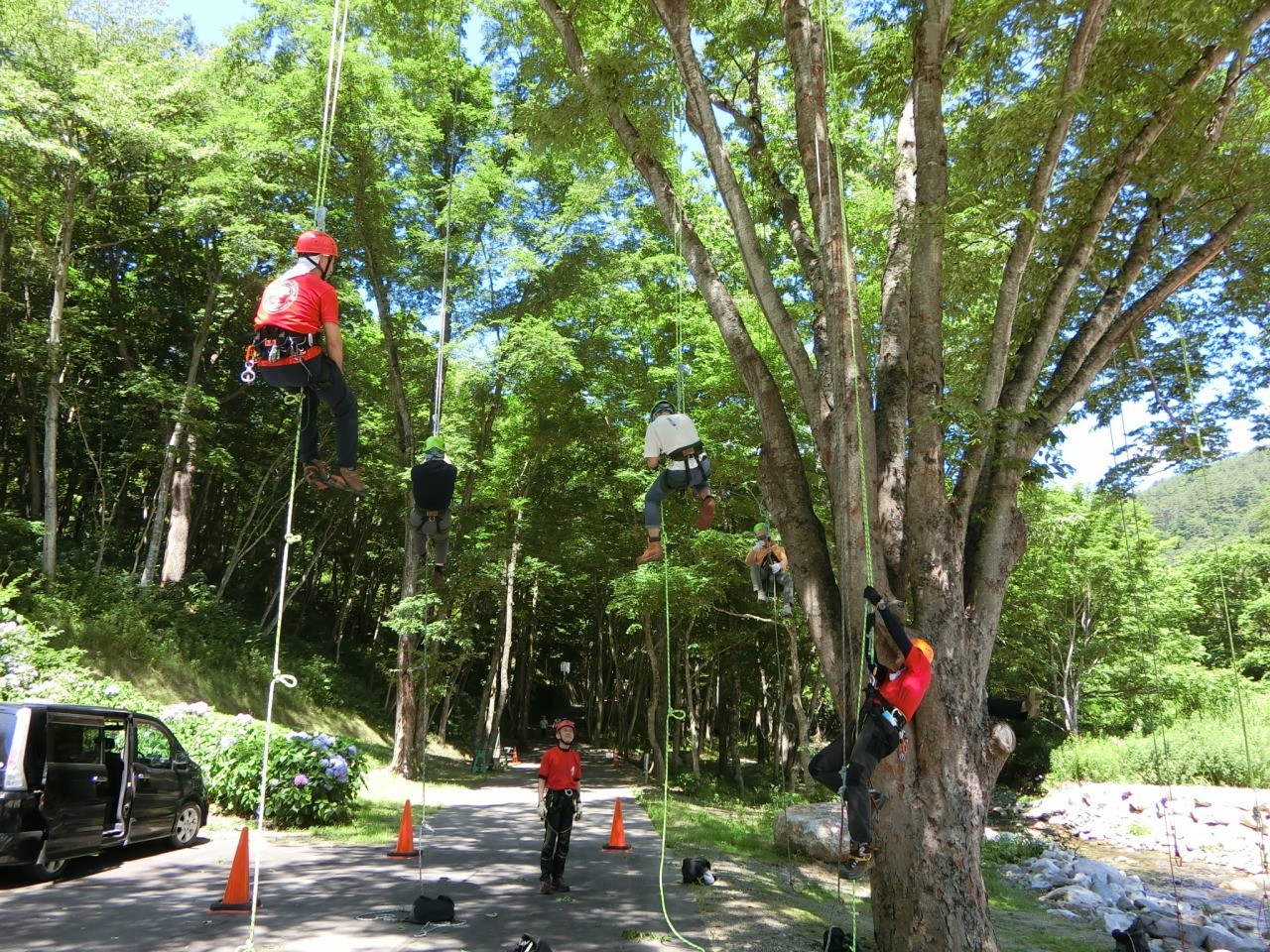 ツリークライミング体験