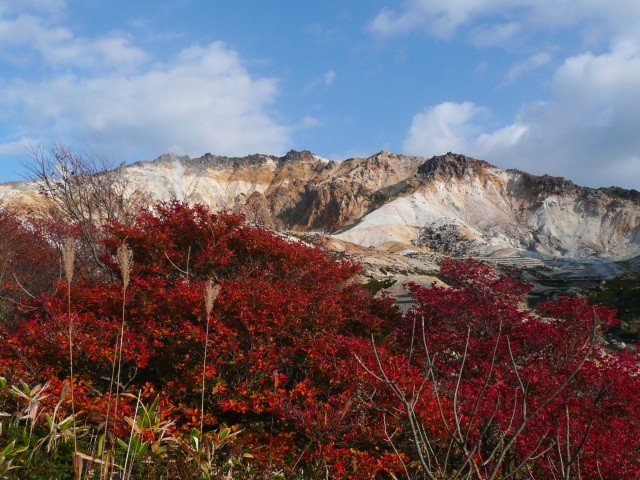 鮮やかな赤色に染まった秋のツツジと恵山