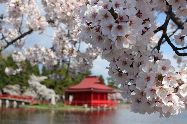 池の中央には胸肩神社が